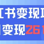 (11885期)利用小红书卖资料单日引流150人当日变现2610元小白可实操(教程+资料)