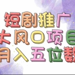 (11879期)拥有睡眠收益的短剧推广大风口项目,十分钟学会,多赛道选择,月入五位数