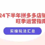 (11876期)2024下半年拼多多店铺旺季运营指南:实操玩法汇总(8节课)