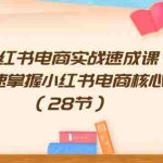 (11824期)小红书电商实战速成课,让你快速掌握小红书电商核心技能(28节)