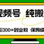 (11827期)视频号纯搬运日引流300+创业粉,日入4000+