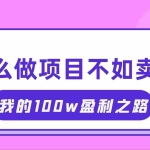 (11893期)抓住互联网创业红利期,我通过卖项目轻松赚取100W+