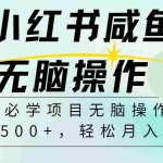 (11888期)2024最热门赚钱暴利手机操作项目,简单无脑操作,每单利润最少500