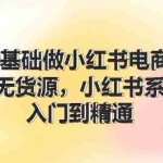 (11960期)0基础做小红书电商,小红书无货源,小红书系统运营,入门到精通 (70节)