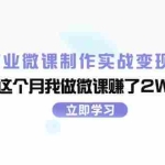 (11959期)商业微课制作实战变现项目,这个月我做微课赚了2W+