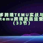(11934期)拼多多跨境TEMU实战与选品,多多temu跨境选品运营实操(33节)