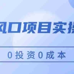 (11923期)闲鱼风口项目实操手册,0投资0成本,让你做到,月入过万,新手可做