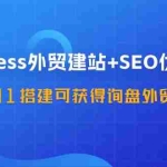 (11911期)WordPress-外贸建站+SEO优化教程:从0到1搭建可获得询盘外贸网站-57节课