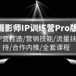 (11899期)摄影师IP训练营Pro版,IP营打造/营销技能/流量扶持/合作内推/全套课程