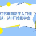 (11988期)2024小红书电商新手入门课,店群实战,从0开始到学会(31节)