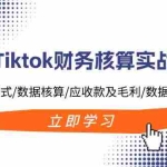(11978期)Tiktok财务核算实战营:TK业务模式/数据核算/应收款及毛利/数据下载及报表