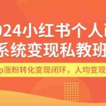 (12039期)2024小红书个人ip系统变现私教班,个人ip涨粉转化变现闭环,人均变现5位数
