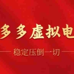 (12035期)拼多多虚拟电商,单人操作10家店,单店日盈利100+