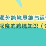 (12010期)TIKTOK海外跨境思维与运营实战课,只做有深度的跨境知识(91节课)