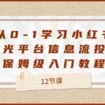(12020期)从0-1学习小红书 聚光平台信息流投放,保姆级入门教程(12节课)