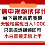 (12017期)微信中视频伙伴计划,仅靠搬运就能轻松实现日入500+,关键操作还简单,…