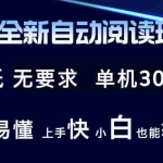 (12063期)2024全新自动阅读玩法 全新技术 全新玩法 单机3000+ 小白也能玩的转 也…