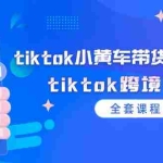 (12059期)tiktok小黄车带货视频教程,tiktok跨境电商(全套课程)