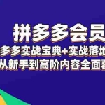 (12056期)拼多多 会员,拼多多实战宝典+实战落地实操,从新手到高阶内容全面覆盖