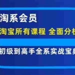 (12055期)淘系会员【淘宝所有课程,全面分析对手】,初级到高手全系实战宝典