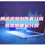 (12107期)2024新风口,无脑搬运海外历史视频,去重一键发布,小白可做,月入1w不…