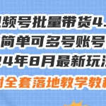 (12093期)24年8月最新玩法视频号批量带货4.0,操作简单可多号账号分发,附全套落…