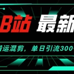 (12085期)B站最新,搬运混剪,单日引流300+创业粉