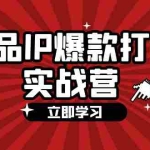 (12136期)商品-IP爆款打造实战营【第四期】,手把手教你打造商品IP,爆款 不断