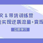 (12137期)2024 图文+带货训练营,小白也能实现逆袭流量+变现密码