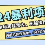 (12130期)2024暴利项目,每单利润非常大,无脑操作,纯手机操作简单,小白必学项目