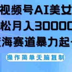 (12125期)视频号AI美女跳舞,轻松月入30000+,蓝海赛道,流量池巨大,起号猛,无…