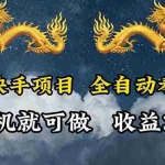 (12175期)海外快手项目,利用工具全自动看广告,每天轻松 300+