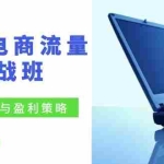 (12168期)24年电商流量实战班:无界 红利与盈利策略,终极提升/关键词优化/精准…