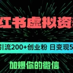 (12164期)小红书虚拟资料日引流200+创业粉,单日变现5000+