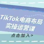 (12156期)TikTok电商布局实操运营课:从新手到精通,成为TikTok带货运营高手