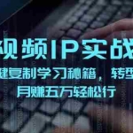 (12193期)短视频 IP实战课,独创一键复制学习秘籍,转战新领域,月赚五万轻松行