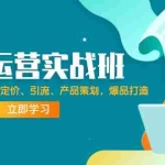 (12186期)淘系运营实战班:市场分析、定位、定价、引流、产品策划,爆品打造