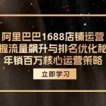 (12184期)阿里巴巴1688店铺运营,掌握流量飙升与排名优化秘籍 年销百万核心运营策略
