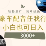 (12206期)不为人知的暴力小项目,豪车配音,日入3000+