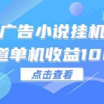 (12198期)广告小说挂机管道单机收益1000+