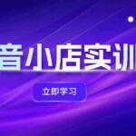 (12199期)抖音小店最新实训营,提升体验分、商品卡 引流,投流增效,联盟引流秘籍