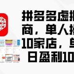 (12267期)拼多多虚拟电商,单人操作10家店,单店日盈利100+