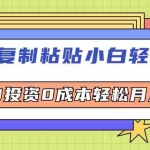 (12258期)无脑复制粘贴,小白轻松上手,电商0投资0成本轻松月入3W+