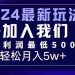 (12285期)三天赚1.6万!每单利润500+,轻松月入7万+小白有手就行