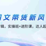 (12306期)图文带货新风口:从选品到剪辑,实操班+进阶课,达人起号涨粉实战