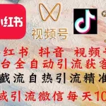 (12301期)小红书,抖音,视频号多平台全自动引流获客系统 精准截流自热引流精准…