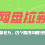 (12294期)网盘拉新+私域运营玩法,零基础入门,小白可操作,当天见效,日入5000+