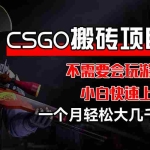 (12332期)CSGO 装备搬砖项目,操作简单,不需要会玩游戏,小白也能快速上手,一…