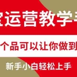 (12351期)淘宝运营教学手册,在淘宝卖这个品可以让你做到日入2000+,新手小白轻…