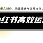 (12369期)小红书高效运营课:掌握爆文制作、流量提升与变现方法,轻松实现盈利